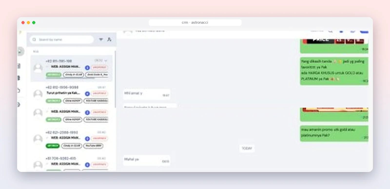 Astronacci — WhatsApp CRM & Sales